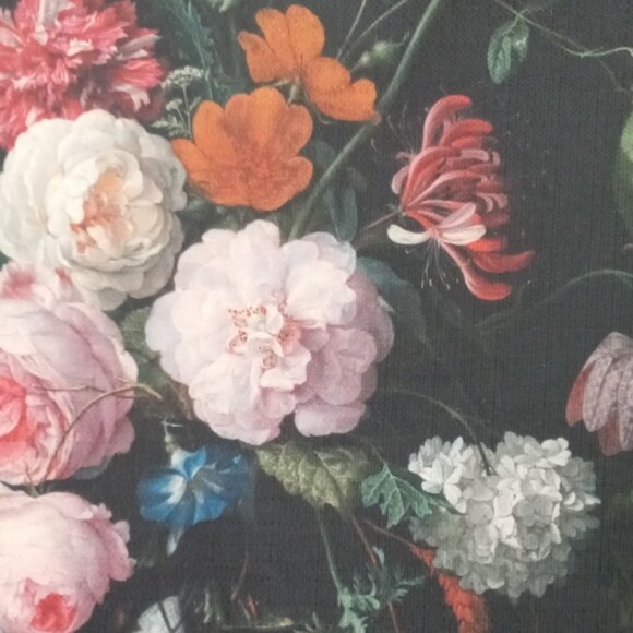 shelly1849